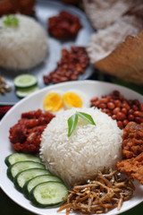 Asian food nasi lemak