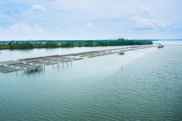 Oyster farm in the sea at day time.Thailand.