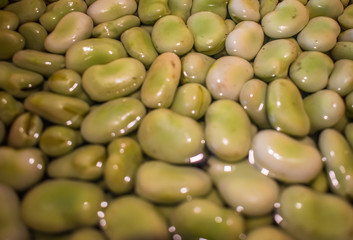 Fava beans on Water