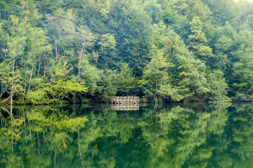 Fototapeta na wymiar Turkey Bolu Seven Lakes, Natural Lake in Forest