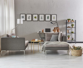 decorative grey living room and furnitures.