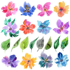 Obraz premium Floral set. Red and blue poppies. Decorative floral elements. Watercolor flowers.