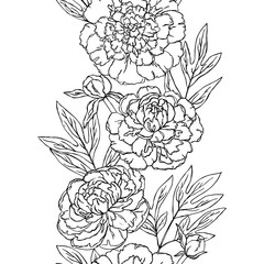 vector contour peony rose flowers coloring book hand drawn seamless vertical pattern