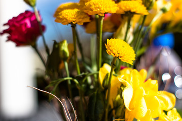 Colorful Bouquet Of Flowers