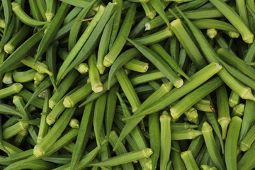 Ladys Finger Plant from Flower to Vegetable