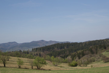 spring in Sowie Mountains in Poland