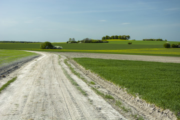Country road and fields