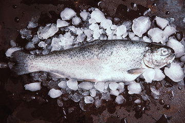 fresh fish. Trout with  lemon and spices on dark background. Cooking fish with herbs thyme.
