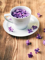 Cup of violet aroma lilac