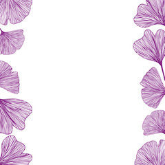 Ginkgo biloba leaves, vector illustration left and right side border in purple for background