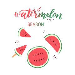 Watermelon sliced hand drawn vector illustration with hand lettering