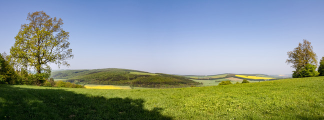 Fototapeta na wymiar Panoramic view of spring countryside with green meadow and forests