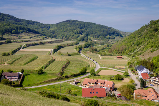 Looking down to the town called Schelingen from the top of the Badberg in Kaiserstuhl, Germany. Looking at the tower through the wineyard on a beautiful spring morning.