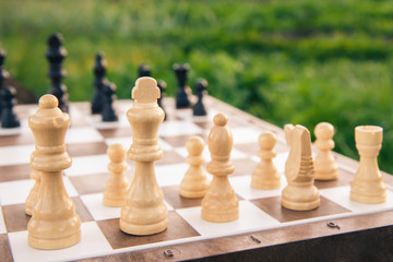 Part of the chess board with chess pieces on green natural background