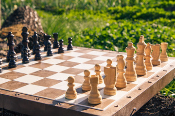 Chess board with chess pieces on green natural background