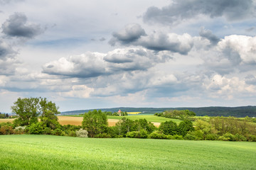 Spring countryside with green field and trees under cloudy sky