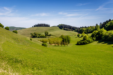 Naklejka premium The Badberg in Kaiserstuhl, Germany. perfect place to do some hiking and picnicking. 