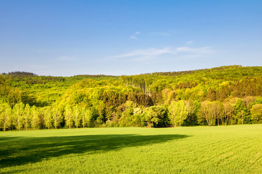 Summer landscape with green meadow, forest and blue sky