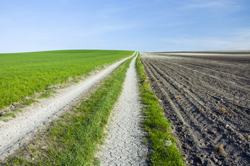 Fototapeta na wymiar Straight country dry road, plowed field and green meadow