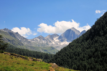 Fototapeta na wymiar Gebirge Südtirol Berge Schlucht
