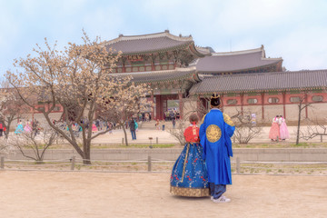 Fototapeta premium Korean Lover dressed Hanbok traditional of spring cherry blossom in Gyeongbokgung Palace in Seoul, South Korea.....
