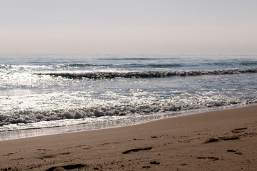 weaves on the shore of the beach