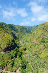 Lively and exotic scenery on a hiking trail leading to Los Tilos starting in Los Sauces, La Palma, Canary Islands, Spain © Tom