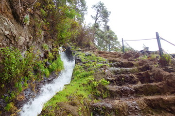 Hiking trail leading to waterfalls hidden deep in the mountains and laurel forest of Los Tilos...