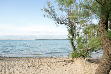 Naklejka na ściany i meble summer at the coast in the croatia middle