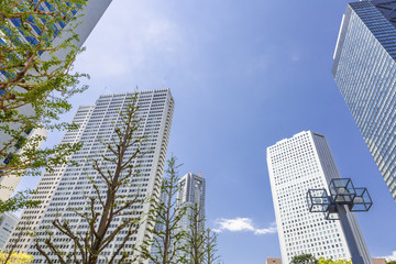 Fototapeta premium 快晴の新宿高層ビル群