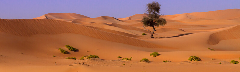 Wüste der Vereinigten Arabischen Emirate