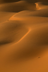 Fototapeta na wymiar Wüstenausflug beim morgendlichen Sonnenaufgang