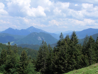 Wald Tegernsee Gebirge Berge