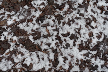 White snow covering fallen leaves from above