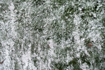 White snow in the grass from above
