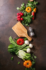 Variety of wet raw fresh organic colorful vegetables tomatoes, radish with leaves, fennel, paprika,...