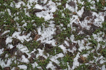 Snow on grass and fallen leaves in winter