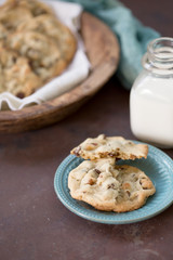 Chocolate Chip Cookies 1