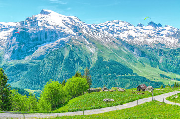 Obraz premium Houses in the Swiss village of the Engelberg resort. Landscape of Swiss alpine nature