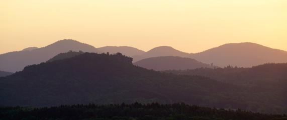 Morgenstimmung im Pfälzerwald