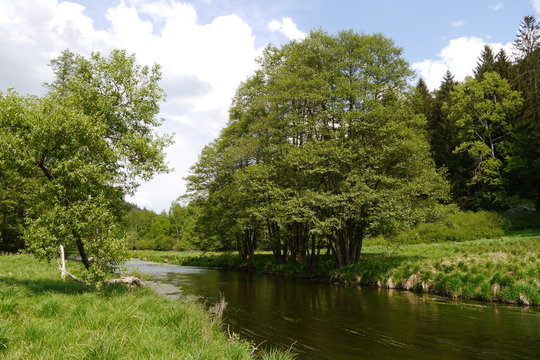 Flusslandschaft der Pfreimd in der Oberpfalz.