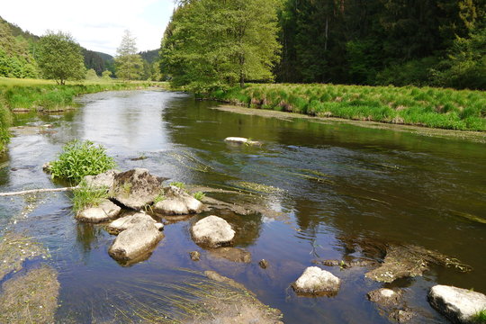 Die Pfreimd mit Steinen bei Trausnitz im Oberpf&auml;lzer Wald.