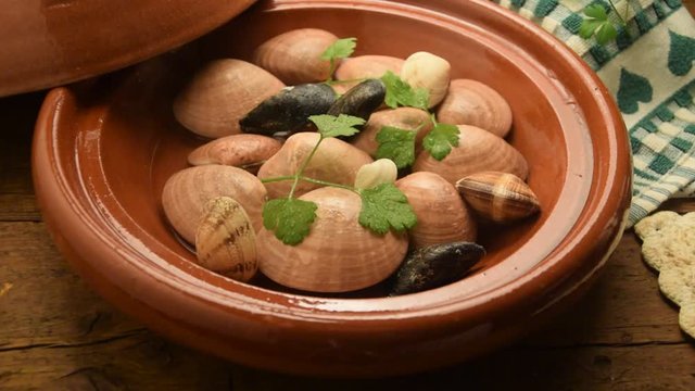 طاجين Tajine טאג'ין Tajin タジン鍋 Таджын Tażin Таджин 타진 Taž&iacute;n Taj&iacute;n video Tajines tagine 