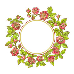 rose branch vector frame