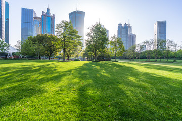 Fototapeta premium green lawn with modern office building