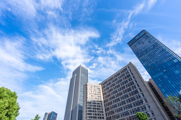Fototapeta premium up view of modern office building