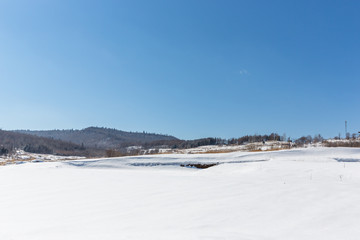 Fototapeta na wymiar landscape of grassland in winter