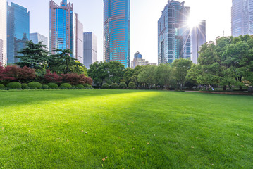 green lawn with modern office building