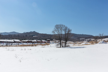 landscape of grassland  in winter