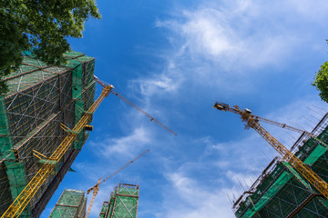 crane in construction site